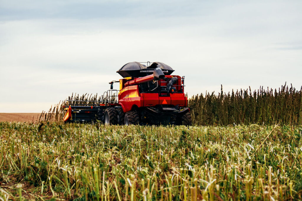 myristol hemp seed oil made in canada